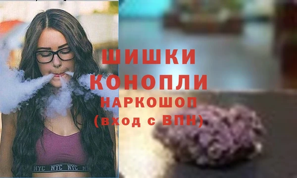 ПСИЛОЦИБИНОВЫЕ ГРИБЫ Дубна