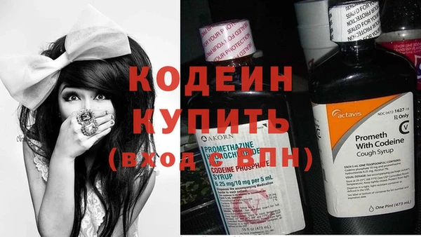 хмурый Дубовка