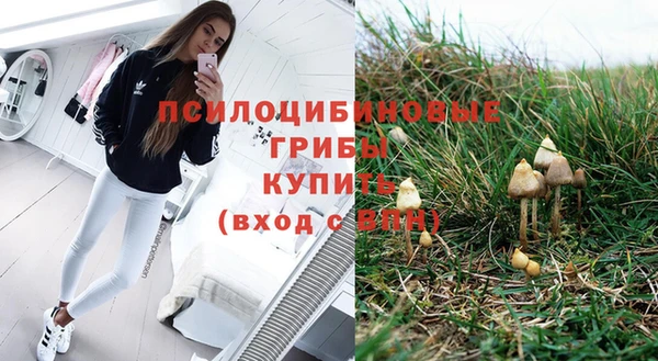 ешки Алексеевка